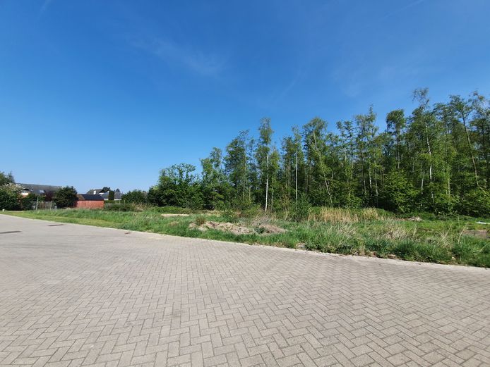 Capucienenbossen in Meersel-Dreef