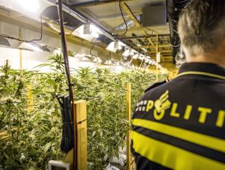 Nederlanders tippen veel minder over misdaad