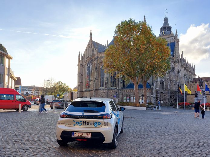Elektrische wagen lenen in Poperinge wordt goedkoper