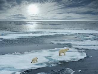 Meer dan 11.000 wetenschappers roepen "klimaatnoodtoestand" uit: “Mensheid moet in actie komen”