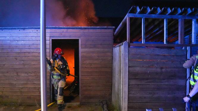 Geen vuurkorf meer voor Helmonder (49) na brand in zijn tuin die hem tachtig uur taakstraf kan kosten