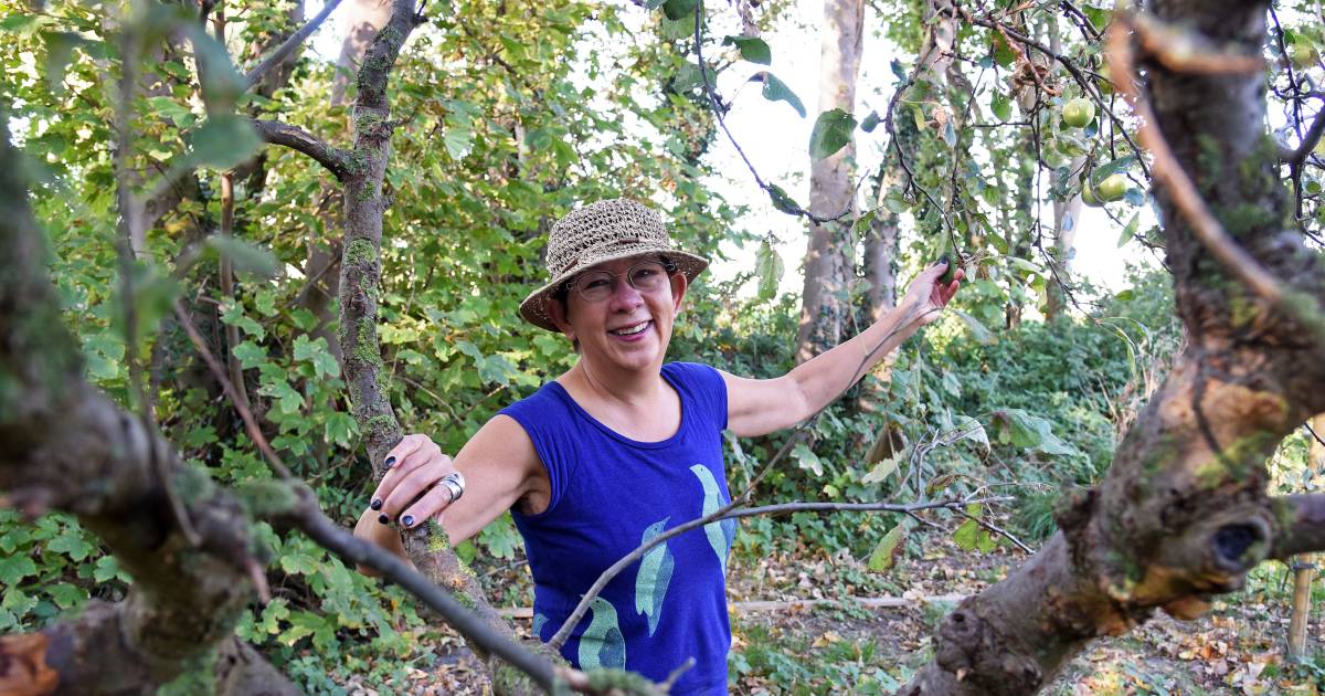 De klompenmaker vroeg: 'mag ik haar kopen?' | Zeeuws nieuws