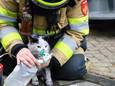 Bij een woningbrand aan de Roos Vosstraat in Tiel heeft de brandweer een kat gered. Het dier krijgt door de brandweer zuurstof toegediend.