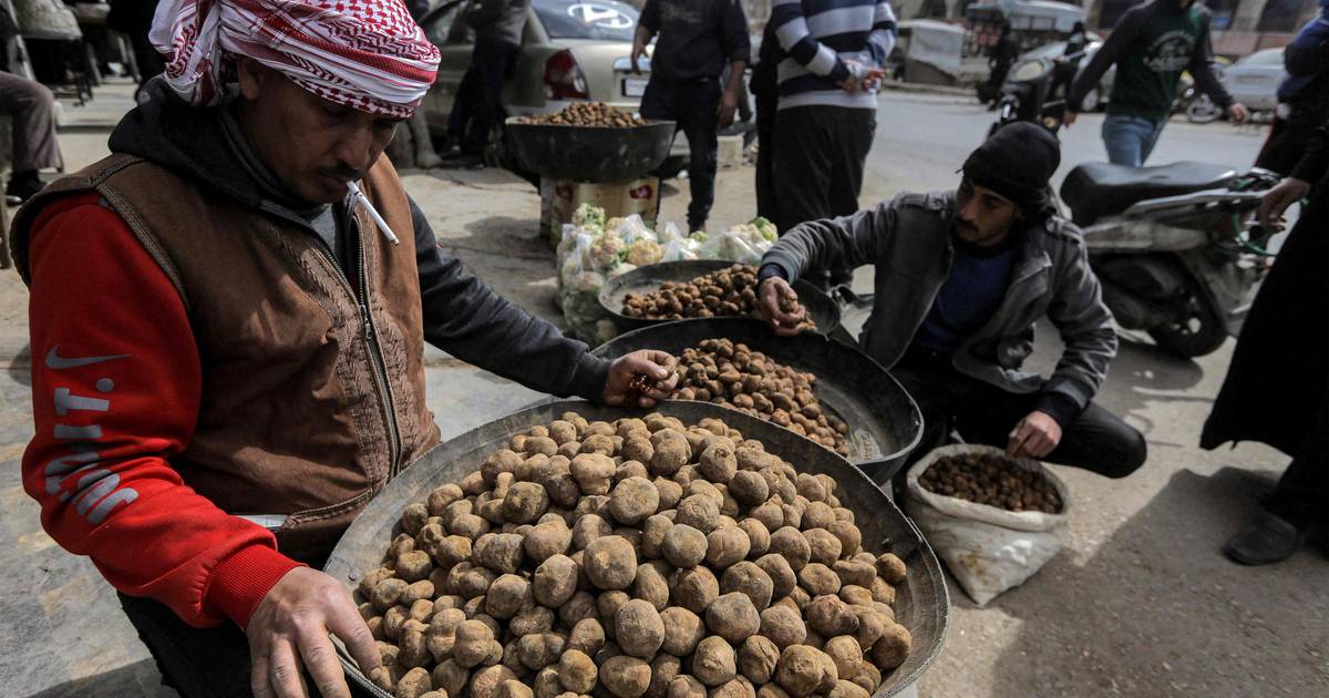 3 cercatori di tartufi sono stati uccisi in Siria e 26 civili sono stati rapiti |  al di fuori