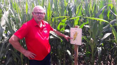 Berkellanddag wegens te weinig deelname verschoven naar komend voorjaar