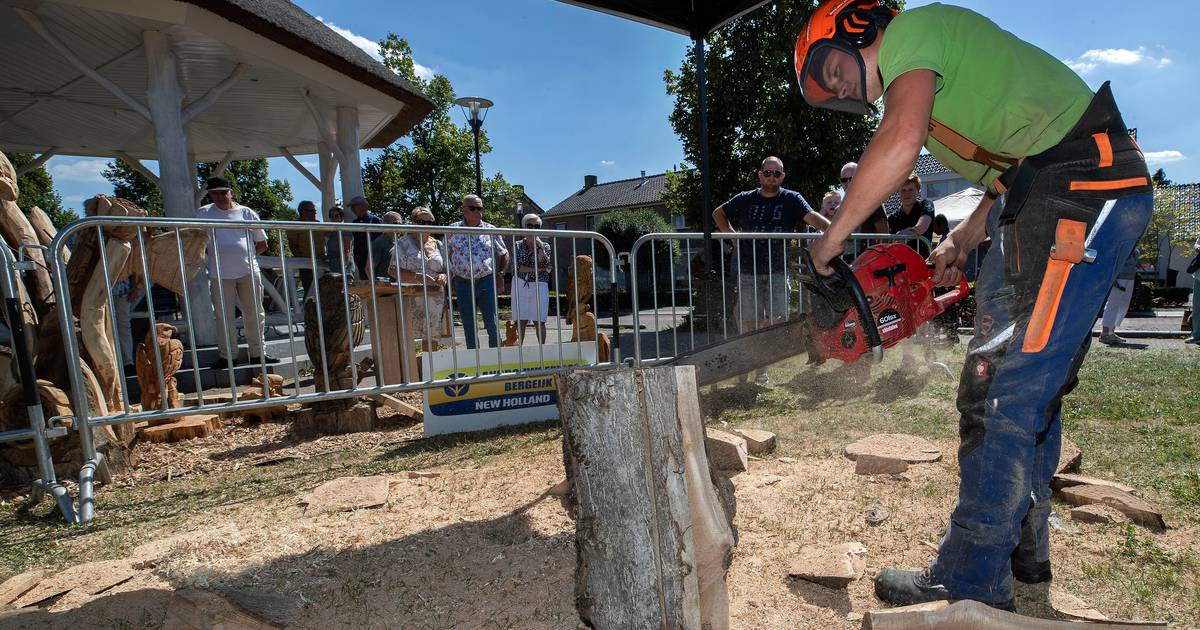 Zonnige Jaarmarkt Riethovens Harmonie Corps: ‘Zulke markten bestaan er bijna niet meer’