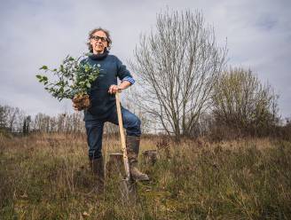 Geen bommen, maar bomen voor Boetsja: Gentse boomverzorger trekt naar Oekraïne om natuur te herstellen