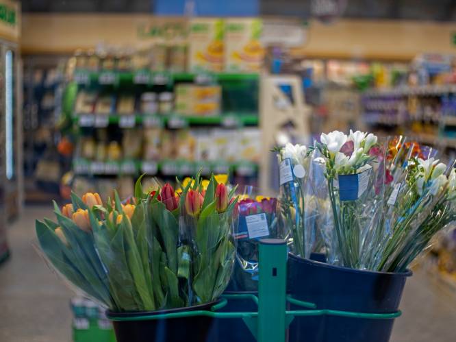 2,99 versus 15 euro voor tulpen: waarom zijn bloemen in de supermarkt veel goedkoper dan bij de bloemist?