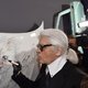 Kat Karl Lagerfeld verdient 3 miljoen euro