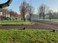 Zoekactie bij de Zuiderparkweg.