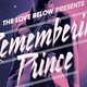 Bert van het concert: The love below presents remembering Prince