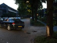 Auto schampt boom en belandt op zijkant in Veghel