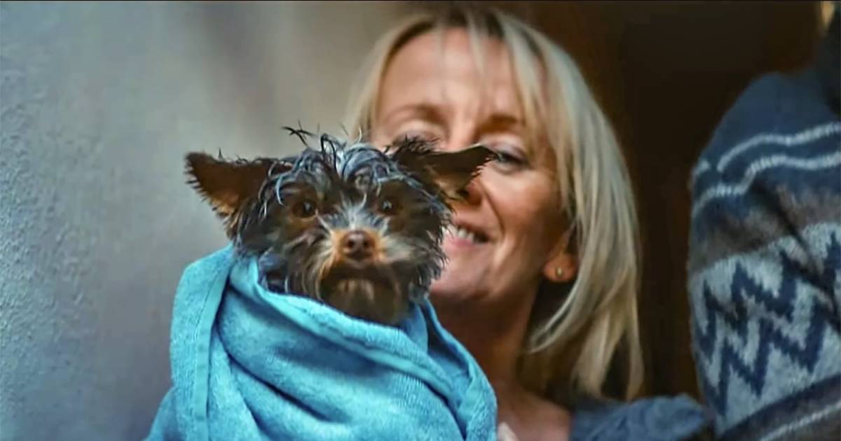 Loterijhondje Frekkel wint ‘Oscar voor reclame’ | Show | AD.nl
