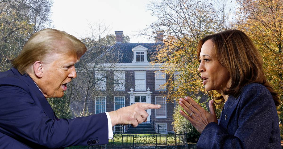 Kamala Harris krijgt steun uit onverwachte hoek: zakenman uit Nieuwersluis doet bijzondere belofte