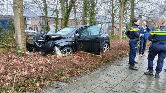 De auto knalde op de Zonnebrink hard tegen een boom nadat er een vogel tegen de voorruit was gevlogen.