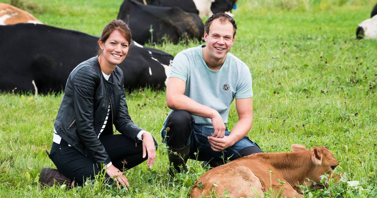 Deze melk smaakt net zoals gewone melk, maar hij kost 2 euro per liter én je voelt je beter - Eindho