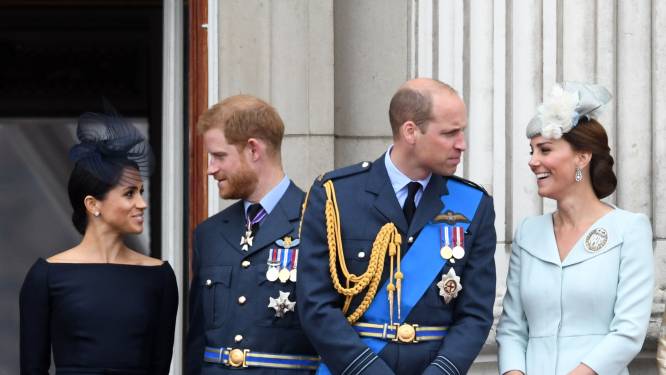 ‘Prins William en Harry hebben de strijdbijl eindelijk begraven’