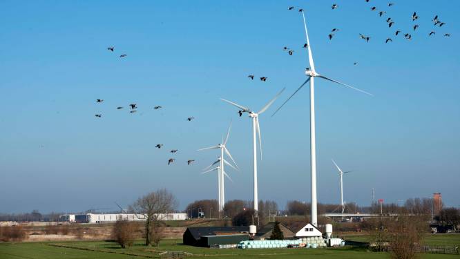 Energiecollectief: ‘Tijd is rijp voor windmolens in Wijk bij Duurstede’