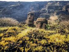 “Des dégâts irréparables”: un incendie endommage les célèbres statues de l’Île de Pâques