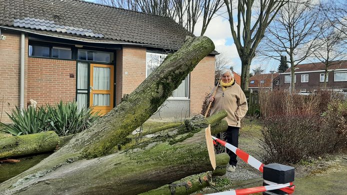 Willy Groenendijk uit Schijndel kreeg vrijdag een boom op haar dak.