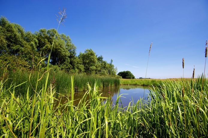 Het gat van de Dam bij Lithoijen