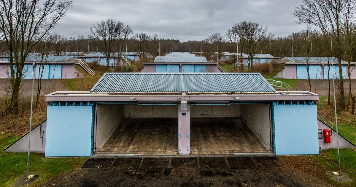 'De ruimte is een keer op', toch is dit gebied in Dinkelland in beeld voor munitie (en daar balen be