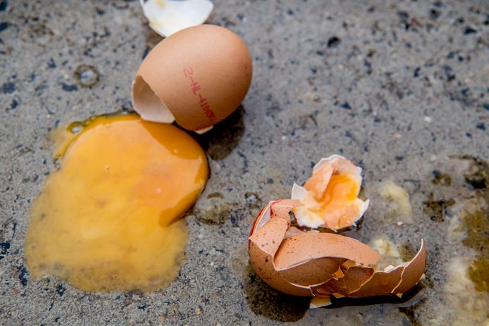 Verse eieren zijn nu weliswaar schoon, maar de voedingsindustrie maakt meestal gebruik van bewerkte eiproducten © ANP