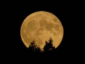 Un phénomène lunaire va provoquer des inondations record sur Terre