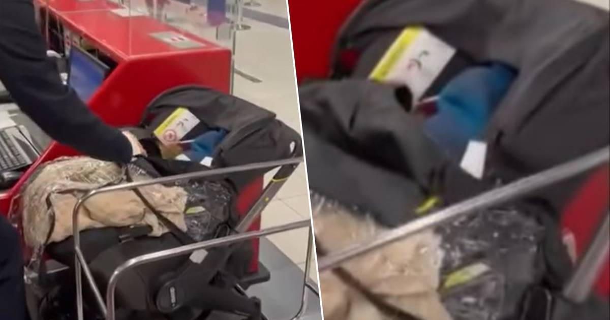 orang tua Belgia menolak membeli tiket untuk putra mereka dan meninggalkan anak mereka di bandara |  Luar negeri