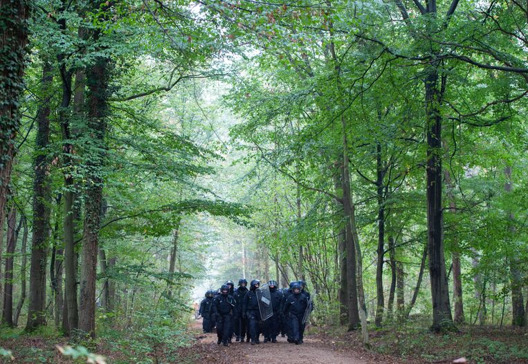 uitbreiden Zus consumptie Massale inzet Duitse politie in Hambacher Bos: boomhutten, actievoerders en  molotovcocktails