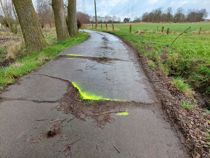 De Peerdekouterstraat: de wortels van de bomen zorgden voor een beschadigd wegdek.