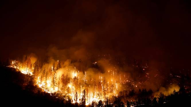Aanhoudende bosbrand legt al meer dan 20.000 hectare in de as in Californië