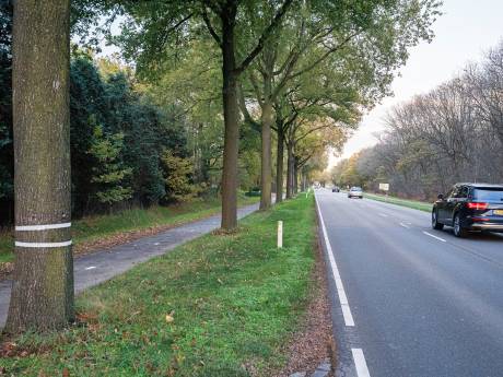 Akkoord over aanplant bomen in Deurne