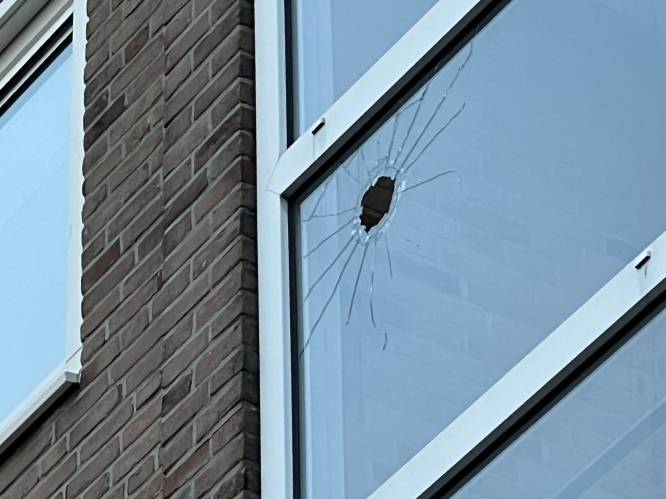 Flat beschoten in Vlissingen, vrouw aangehouden en auto met Duits kenteken in beslag genomen