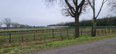 Bakel boos over andere koers Dorpspartij: lange omleiding N279 ‘schaamteloos’