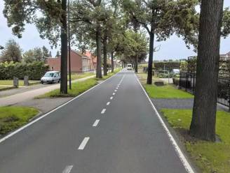Vanaf maandag: 18 bomen worden gekapt aan de Gruitroderkiezel en Breekiezel