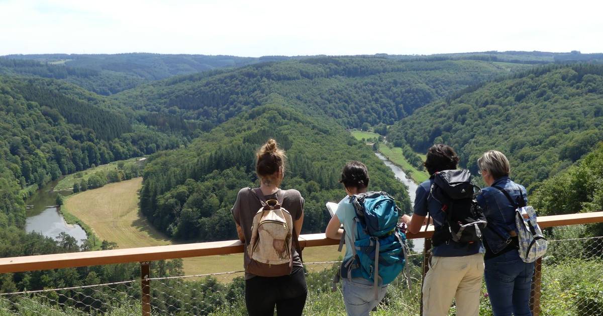 Nederlander komt om na val bij uitkijkpunt in België Buitenland bndestem.nl