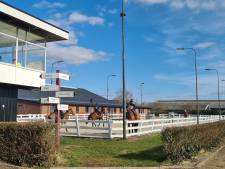 Hoezo corona, hoezo dodelijk paardenvirus? Honderden ruiters en paarden doen mee aan paardenevenement in Schaijk