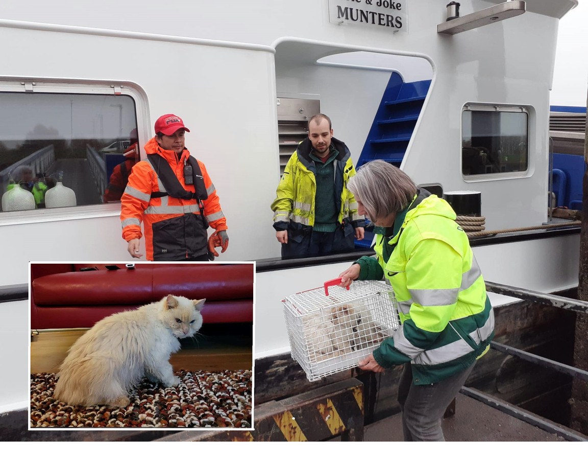 Jimmie wordt van boord gehaald.