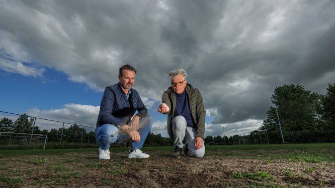 Voetbalclubs in Kampen zijn deze zomer van knollenvelden af (en krijgen mogelijk extra nepgras)