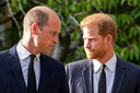 Prins William en prins Harry.