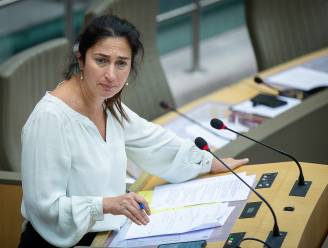 Minister Demir (N-VA) mag snoeien in groenestroomsubsidies van grote bedrijven