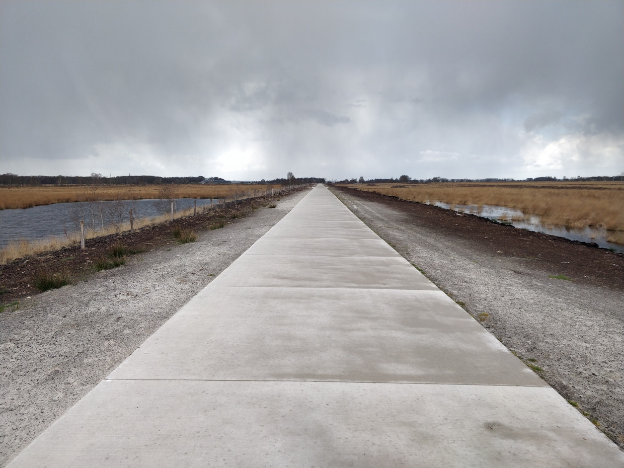 Eén van de nieuwe betonnen fietspaden in het Bargerveen.  Beeld  Patrick Jansen 