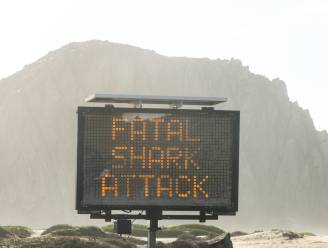 Vrouw (58) dood na haaienaanval tijdens snorkelen in de Bahama's 