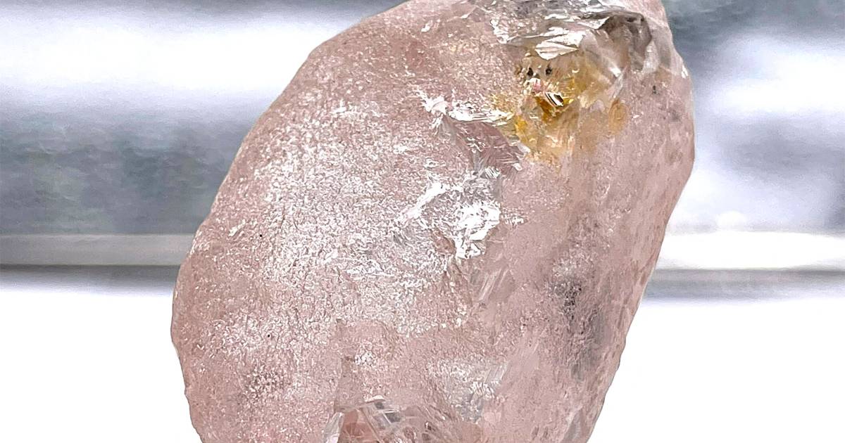 'Grootste roze diamant in 300 jaar' gevonden in Angola: 170 karaat van zuiverste soort - BD.nl