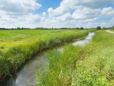 Vollere sloten in Drenthe en Overijssel: waterschap bouwt buffer op om schade door droogte tegen te gaan
