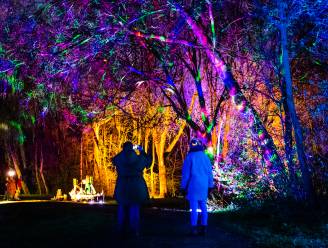 Kaarten voor nieuwe aflevering van Lichtspoor in donkere Biesbosch te koop