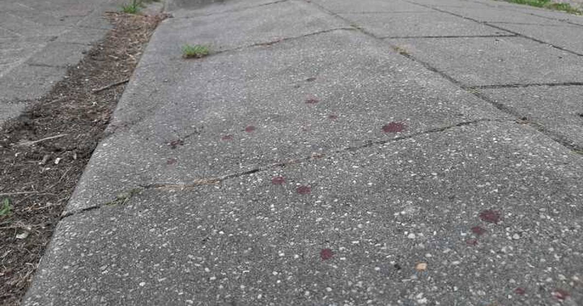 Dus je kijkt weg als een man bloedend door je straat loopt ???