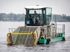 Waterschap maakt afspraken over maaien van waterplanten in de Binnenmaas