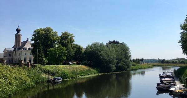Meierijse ommetjes: Een prachtig bospad rond een veld vol klaprozen - BD.nl